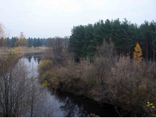 ������� ����