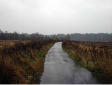 �����, ������...