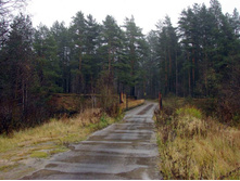 ���� �����������