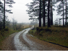 � ������ �������