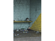 ��������. ��������� ��������