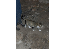 �������. ��������