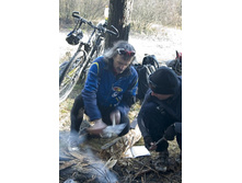 ����� ����������� ����� �������� 