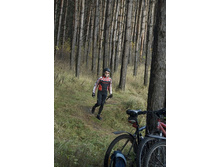 ������ ������ ����� ����