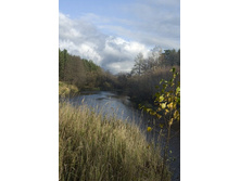 ������ ���������� ������