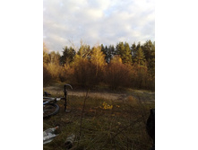 ������...