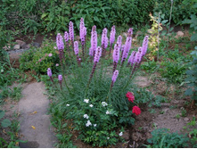 ������� ����������*+24�