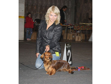 �������� 2008