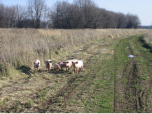 �������������� ����ӣ���.����������� �� ���-��� ))).