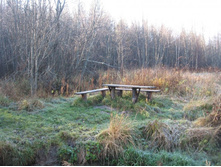 ��� ��� ���� ��� ���������� ))