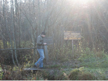 �������, �����...