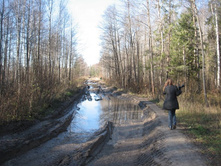 ���� �������� 