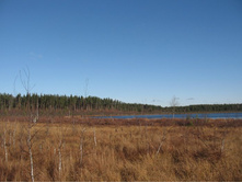 �� �������