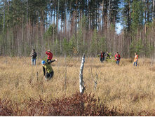 ��������� �� ������