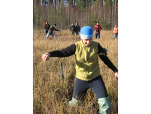 ������ ����