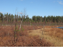 ��� ����� �� ������� ������