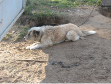 ���� "��������" �������� �������������� ������ � ���������� �����