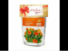 ���������. ���� 150�.