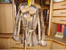 ���� (3).JPG