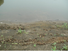 ������� �����))