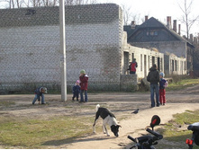 ��, ������� ��!