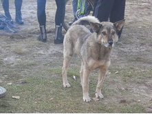 ������� ��������