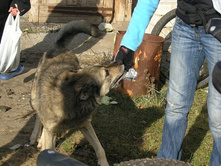 ���� �������!