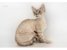 ������03 (2).JPG