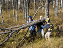 ���� ������...