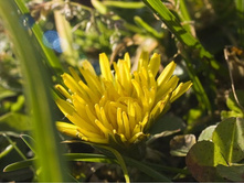 ��������� ��������� �����