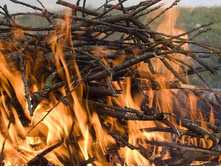 ��� �� �����!