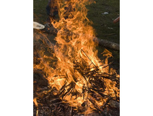 � ���� �� �����!