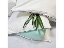 ������� ���������� ��� � �������������� ��������.jpg