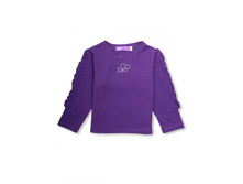 SAM_211096_PURPLE � 398�.JPG