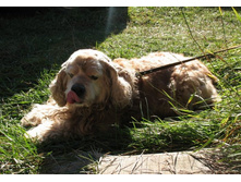 �� ������� :)