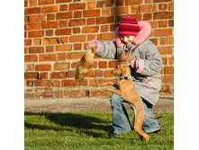 ��������?!