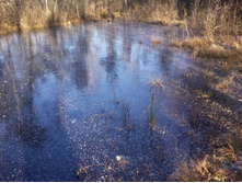 2011-11-06 13.53.19.jpg