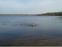 ��� ������������