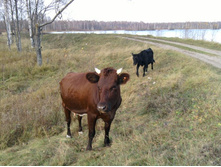 ����� �� ���� ��ϣ ������, �� ��� ����...