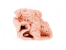 ������. ���� 330�.