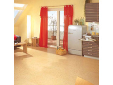 ��������� Basic