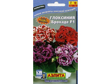 ��������� ������� F1, �����_16,5 ���+%