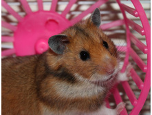 ����أ 011.jpg