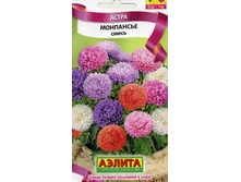 ����� ��������� �����_4,80 ���+%