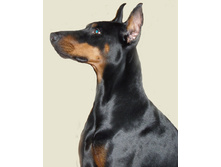 ���`������� �����