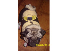 ������ ��������)