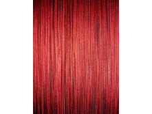 ���� ���������� �����