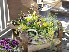 decorating with plants indoor 2.jpg