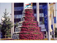 2_2.jpeg.gif (2).jpg