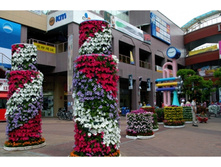 2_22.jpeg.gif (2).jpg